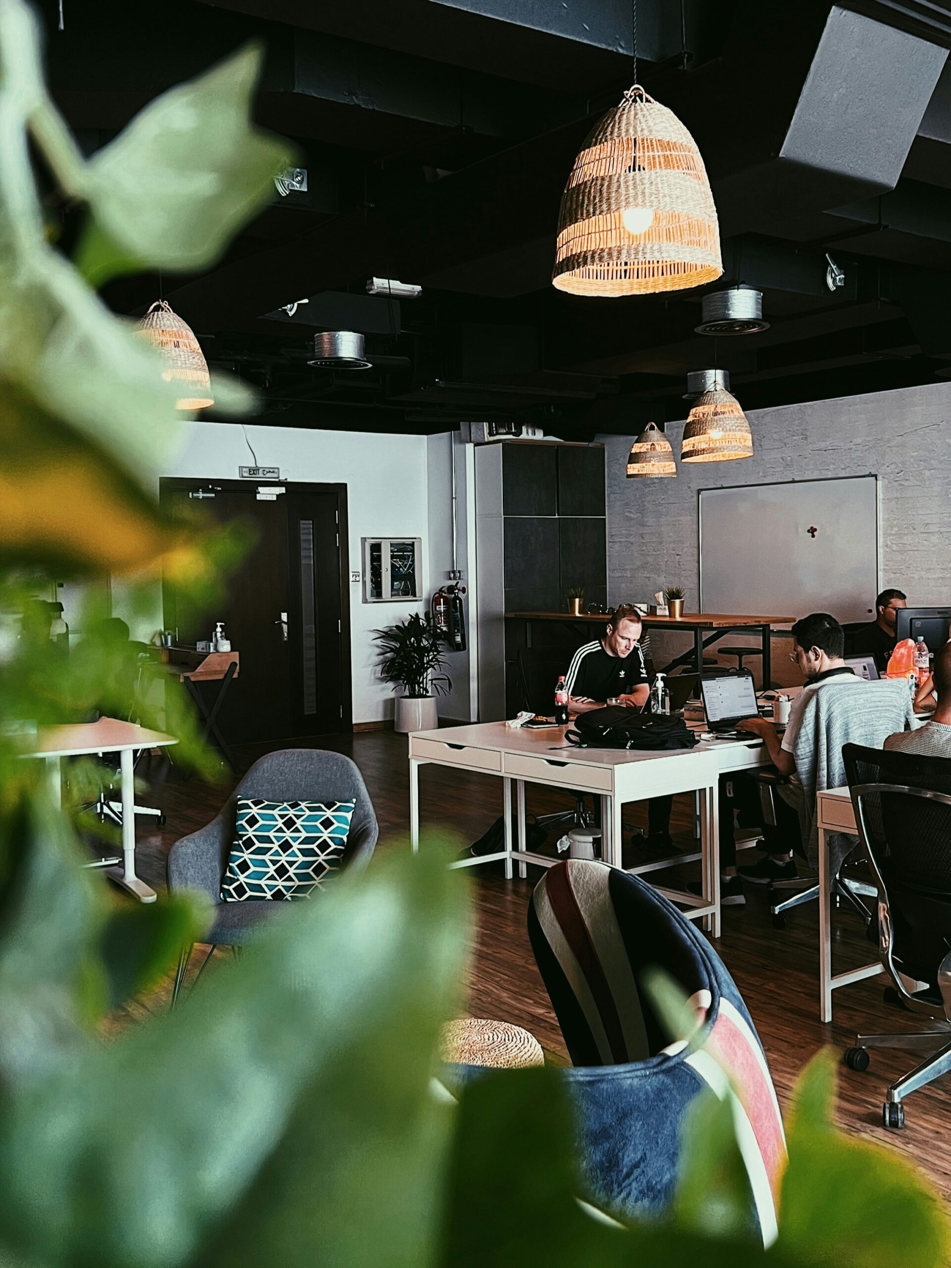 accountant for ltd company